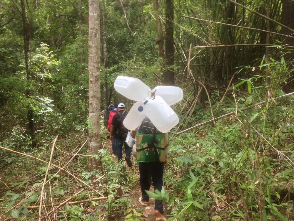 Cuộc sống giữa rừng sâu núi thẳm ảnh 13